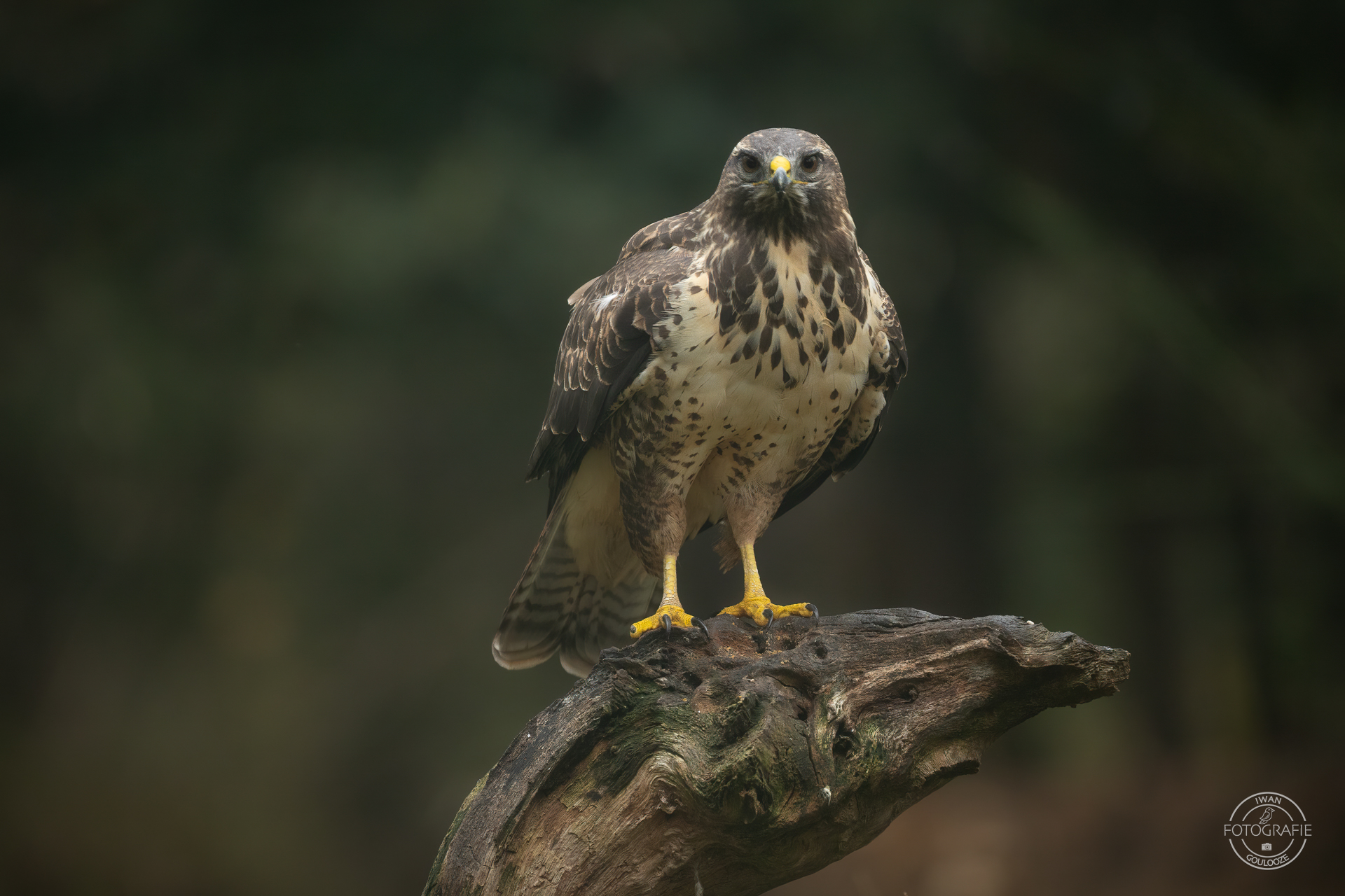 23 oktober 2022 093057 1R2A8520 bewerkt